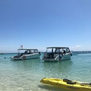 Meet your Posher, Tess